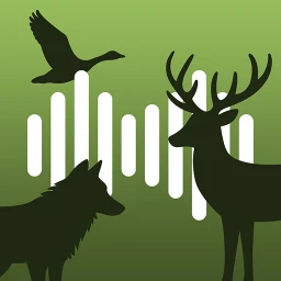 Hunting Calls: All-in-One